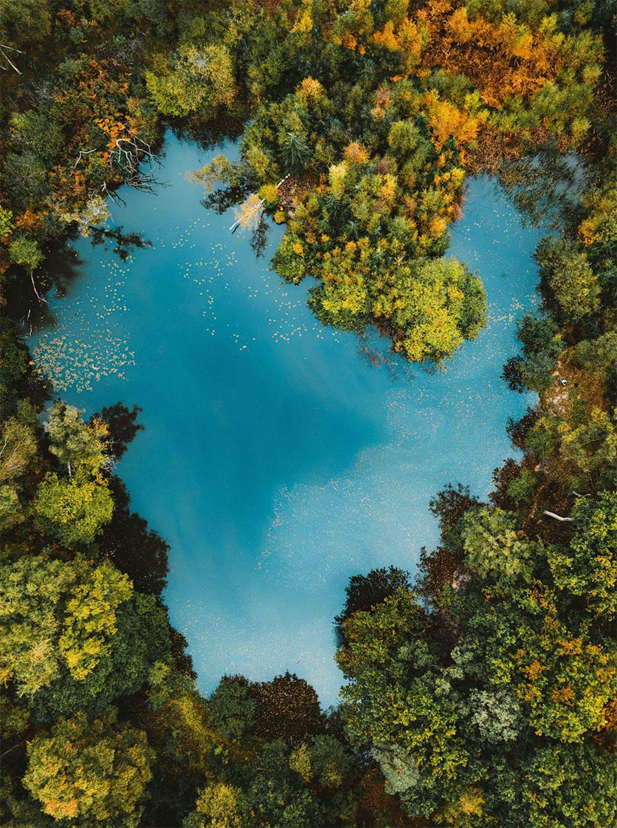 Wald und Gesundheit, Aktionstag 2026